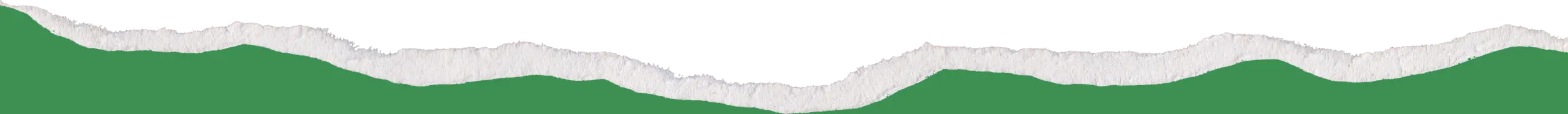 VfL Oldenburg - Papierriss - Grün 3